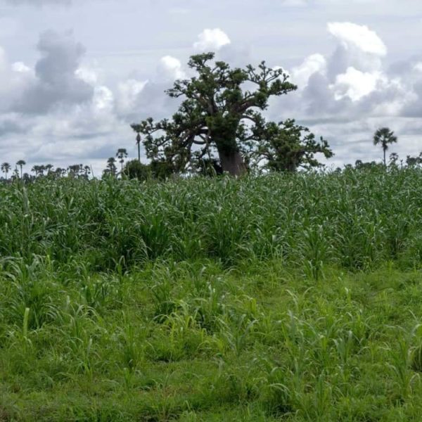 300158684 189823320148135 4166962174318284228 n