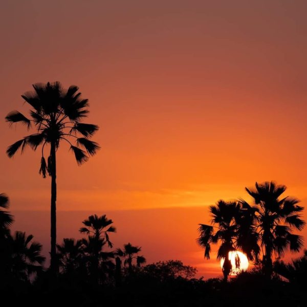 331303850 489254360087261 2425414443184813259 n