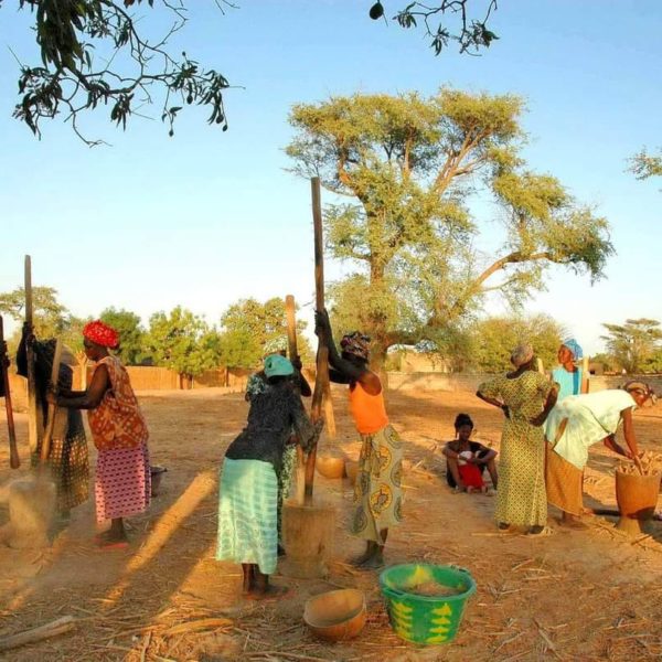 Image decouverte Mbin Songho